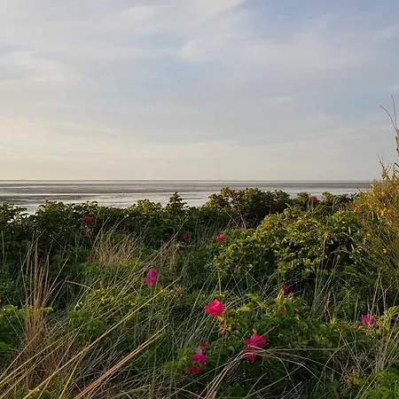 Apartment Residenz Atlantic